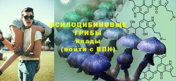 прущие крисы Белокуриха