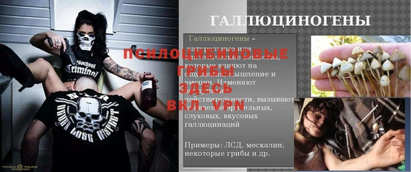 прущие крисы Белокуриха