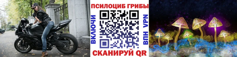 Псилоцибиновые грибы Psilocybine cubensis  ОМГ ОМГ ССЫЛКА  Волгореченск 